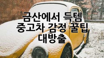 금산에서 득템! ✨ 중고차 감정 꿀팁 대방출! 🚗💨