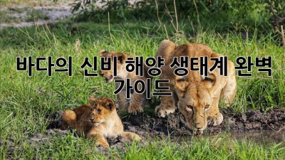 바다의 신비: 해양 생태계 완벽 가이드
