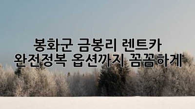 봉화군 금봉리 렌트카 완전정복!🚗💨 옵션까지 꼼꼼하게!